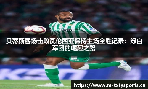 天行体育官网