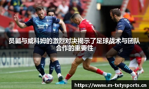 天行体育平台
